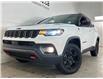 2023 Jeep Compass Trailhawk (Stk: 42311J) in Belleville - Image 4 of 21