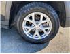 2023 Jeep Grand Cherokee Limited (Stk: U5162) in Simcoe - Image 21 of 21