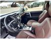 2019 Toyota 4Runner SR5 (Stk: 8148) in Moose Jaw - Image 16 of 31