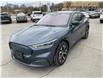 2021 Ford Mustang Mach-E Premium (Stk: 250363) in Kingston - Image 7 of 25