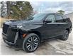 2024 Cadillac Escalade Sport Platinum (Stk: 15867) in Newmarket - Image 1 of 50