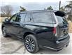 2024 Cadillac Escalade Sport Platinum (Stk: 15867) in Newmarket - Image 15 of 50