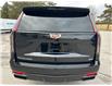 2024 Cadillac Escalade Sport Platinum (Stk: 15867) in Newmarket - Image 16 of 50