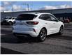 2023 Ford Escape ST-Line (Stk: LKSP00231A) in Chatham - Image 6 of 25