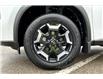 2025 Nissan Rogue Midnight Edition (Stk: 1207BNN) in Owen Sound - Image 12 of 13