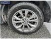 2023 Ford Explorer XLT (Stk: B15999) in Langley BC - Image 6 of 25