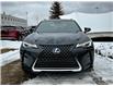 2021 Lexus UX 250h Base (Stk: 250668A) in Calgary - Image 7 of 24