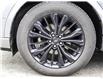 2023 Ford Escape ST-Line Elite (Stk: 25016P) in Ingersoll - Image 5 of 23