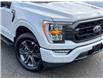 2023 Ford F-150  (Stk: DW1079AL) in Ottawa - Image 3 of 14