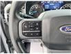 2023 Ford F-150  (Stk: DW1079AL) in Ottawa - Image 10 of 14