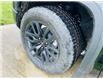 2025 GMC Sierra 1500 Elevation (Stk: 25050) in Ingersoll - Image 22 of 23