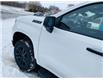 2025 Chevrolet Silverado 1500 LT Trail Boss (Stk: 25116) in Ingersoll - Image 23 of 27