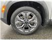 2025 Kia Seltos EX (Stk: M25-0236P) in Chilliwack - Image 8 of 22