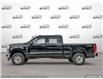 2025 Ford F-250 XLT (Stk: FH042) in Sault Ste. Marie - Image 3 of 24