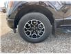 2023 Ford F-150 XLT (Stk: 5B8829) in Cardston - Image 9 of 13