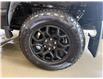 2025 Ford F-150 XLT (Stk: 25DFT027) in Drayton Valley - Image 13 of 13