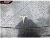 2024 Tesla Model 3 Long Range (Stk: Z088092) in North Vancouver - Image 8 of 23