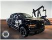 2025 Ford F-150 XLT (Stk: 25DFT027) in Drayton Valley - Image 1 of 13