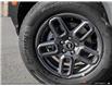 2025 Ford Bronco Sport Big Bend (Stk: XBP532) in Sarnia - Image 7 of 23
