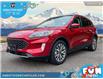 2022 Ford Escape Titanium Hybrid (Stk: AAB03428) in Abbotsford - Image 1 of 24