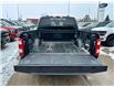 2023 Ford F-150 XL (Stk: F43722) in Prince Albert - Image 7 of 14