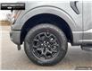 2025 Ford F-150 XLT (Stk: 5F174307) in Brantford - Image 6 of 23