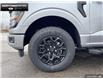 2025 Ford F-150 XLT (Stk: 5F167497) in Brantford - Image 6 of 23