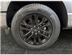 2025 Ford F-150 XLT (Stk: S9620) in ROSETOWN - Image 17 of 17