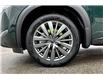 2025 Nissan Pathfinder SL (Stk: 1203BNN) in Owen Sound - Image 12 of 13