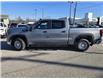 2025 GMC Sierra 1500 Pro (Stk: T27273) in Cobourg - Image 3 of 11