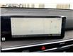 2025 Kia Sorento 2.5T X-Line (Stk: SSR8878) in Sherwood Park - Image 14 of 15