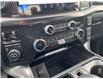 2025 Ford F-150 Lariat (Stk: VF1F00751) in Chatham - Image 18 of 23