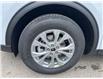2025 Ford Escape Active (Stk: VFEP00721) in Chatham - Image 7 of 19