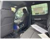 2025 Ford F-150 XLT (Stk: VF1F00701) in Chatham - Image 12 of 21