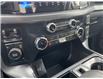 2025 Ford F-150 XLT (Stk: VF1F00701) in Chatham - Image 16 of 21