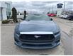 2025 Ford Mustang EcoBoost Premium (Stk: VFMU00729) in Chatham - Image 6 of 20