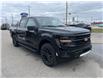 2025 Ford F-150 XLT (Stk: VF1F00702) in Chatham - Image 5 of 21
