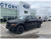 2025 Ford F-150 XLT (Stk: VF1F00702) in Chatham - Image 21 of 21