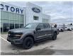 2025 Ford F-150 XLT (Stk: VF1F00703) in Chatham - Image 1 of 21