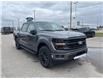 2025 Ford F-150 XLT (Stk: VF1F00703) in Chatham - Image 5 of 21