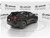 2025 Lexus NX 350h Base (Stk: 14109157) in Markham - Image 9 of 15