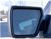 2025 Ford F-150 XLT (Stk: 25191) in Perth - Image 9 of 28