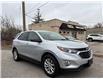 2019 Chevrolet Equinox LS (Stk: TK210574) in Caledonia - Image 1 of 14