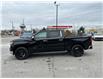 2025 Chevrolet Silverado 1500 LTZ (Stk: Z241482) in Newmarket - Image 8 of 23