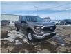 2023 Ford F-150 XLT (Stk: B00141) in Wilkie - Image 1 of 21