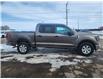 2023 Ford F-150 XLT (Stk: B00141) in Wilkie - Image 12 of 21