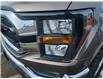 2023 Ford F-150 XLT (Stk: B00141) in Wilkie - Image 20 of 21