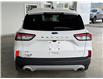 2020 Ford Escape SEL (Stk: 24321aa) in Port Alberni - Image 10 of 24
