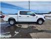 2023 Ford F-150 XLT (Stk: B00146) in Wilkie - Image 13 of 23
