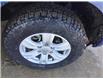 2020 Ford Ranger XLT (Stk: EE078A) in Swan River - Image 6 of 21